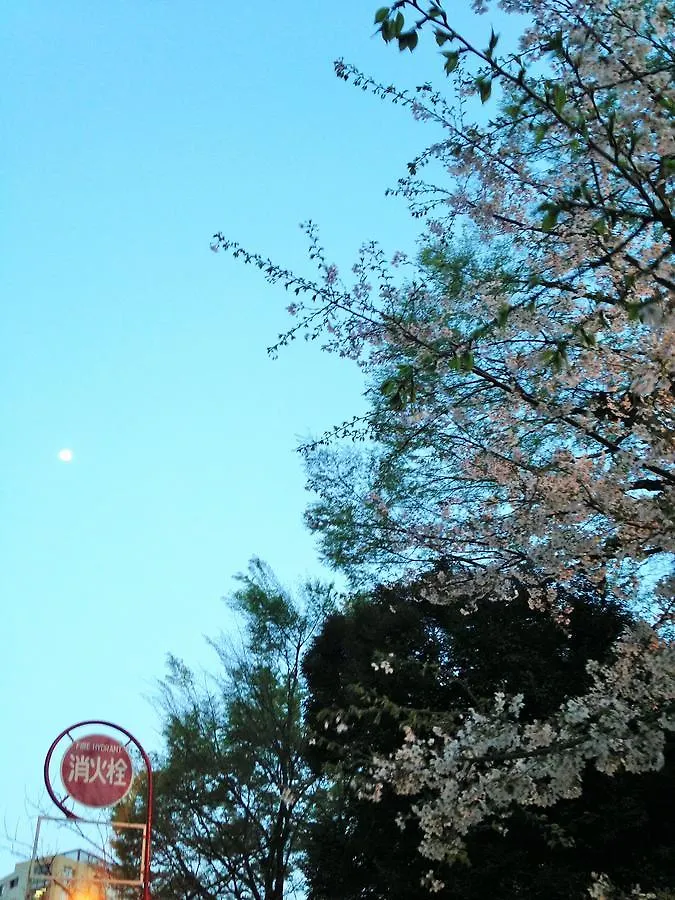 Miko'S Apartment, Iconic Shinjuku, Tokyo, 10Th Fl, Skyscraper View, Korean Town, 3Min To Higashi-Shinjuku Sta 아파트 도쿄